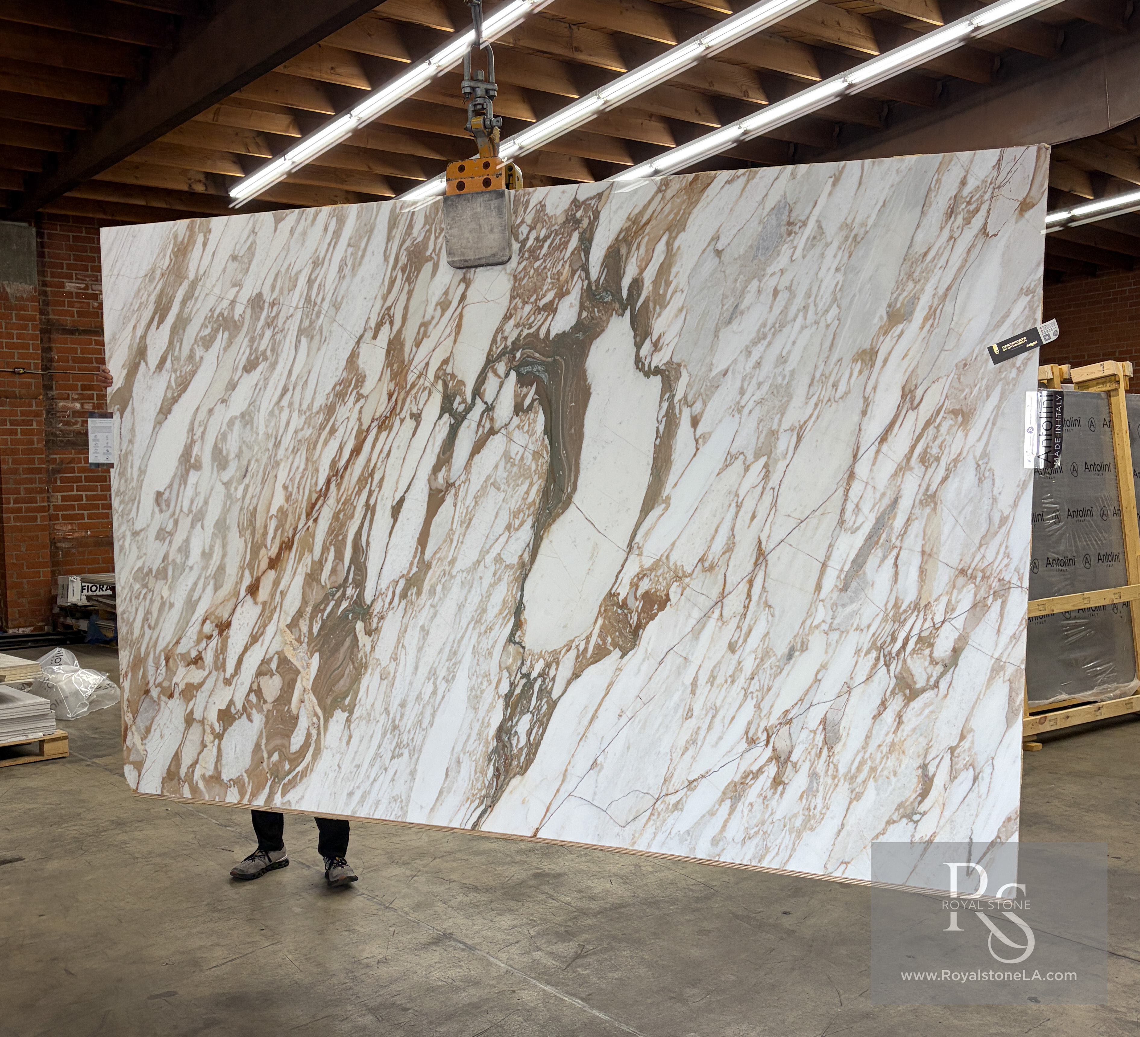 Antolini Calacatta Monet Oro Classic marble slab EE505 honed at Royal Stone Los Angeles, chalk-white field with cinnamon, gold, and pale grey-green veining, 78 by 121 inches