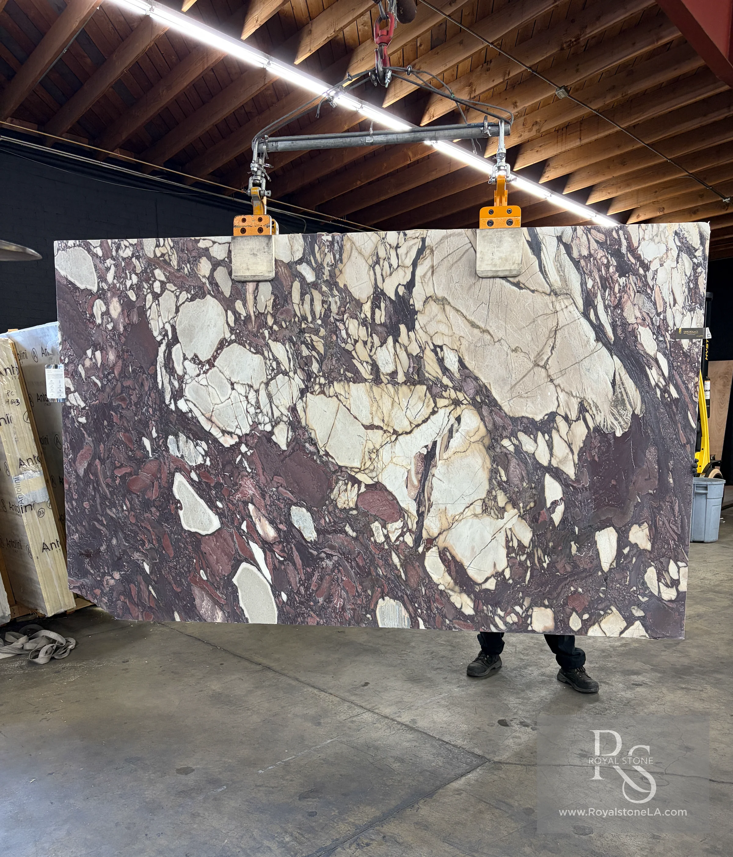 2cm Antolini Calacatta Viola Top EE693 honed marble slab, 77 by 126 inches, suspended from a lifting frame in the Royal Stone warehouse, with dense plum, violet, charcoal, cream, and warm mineral movement