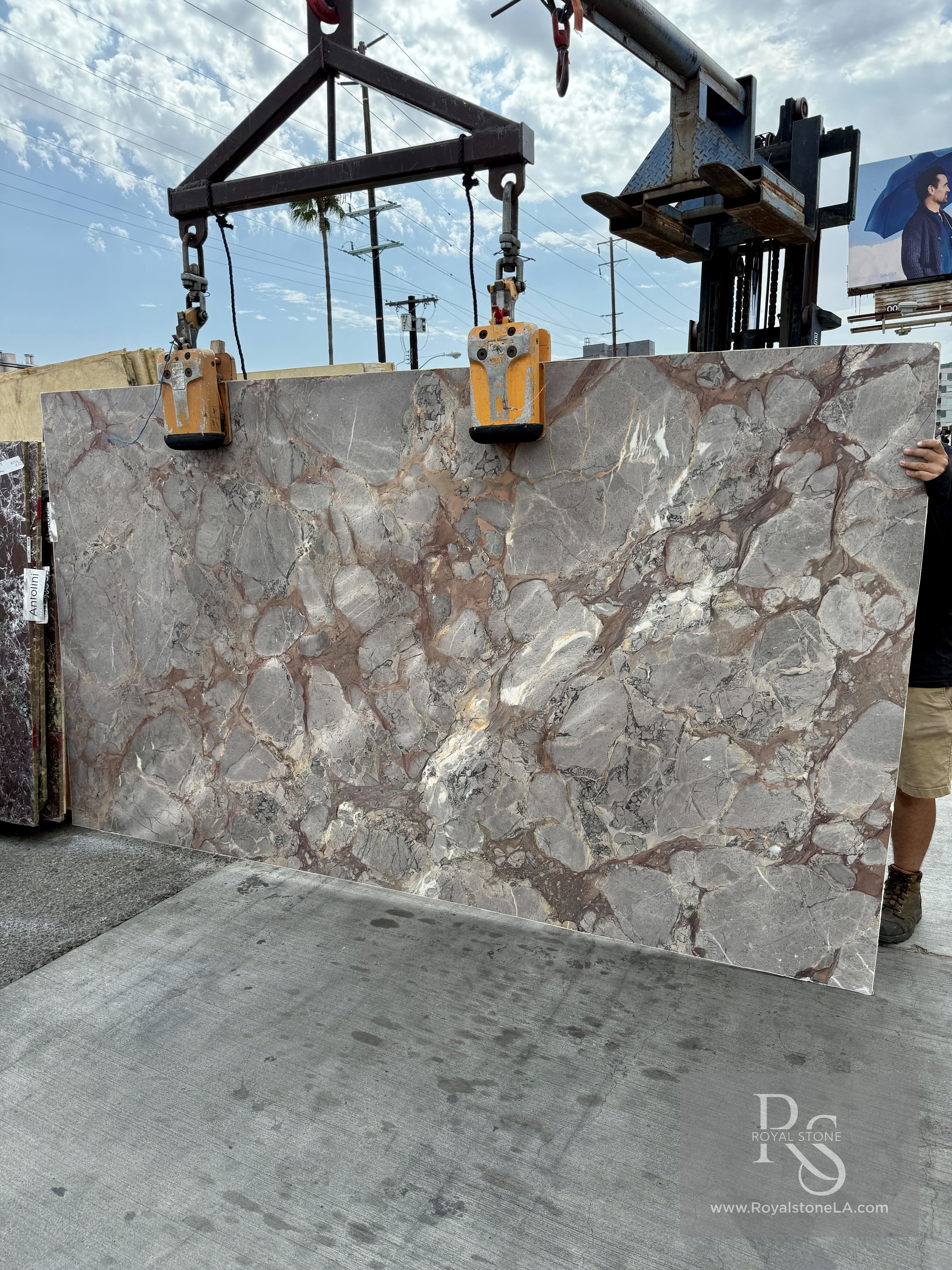 Antolini Brèche Sarrancolin honed marble slab — grey and rose breccia in bronze-amber matrix, 117 by 66 inches