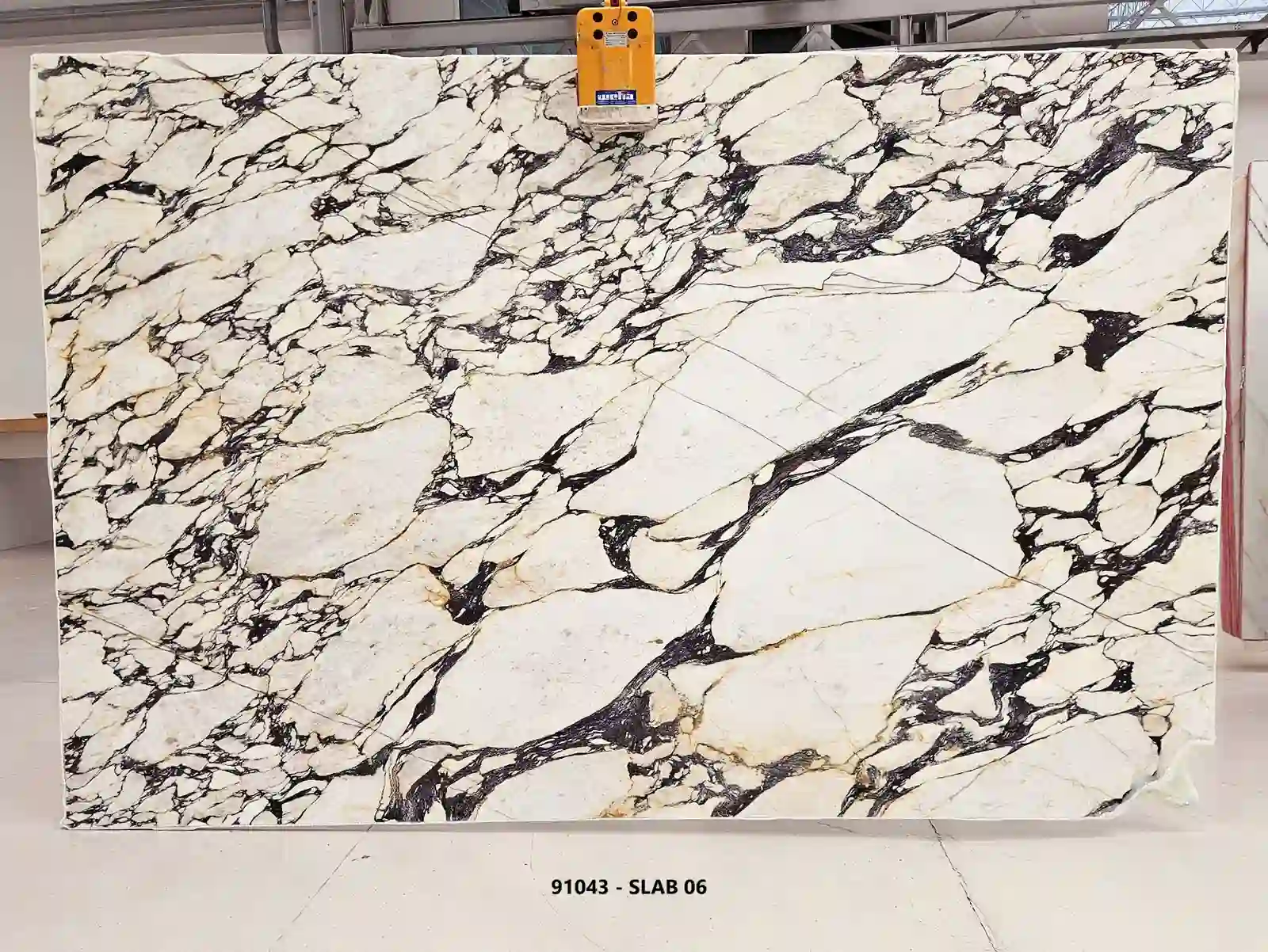 Calacatta Viola marble slab from lot 91043, with dense black-violet breccia veining across a white field