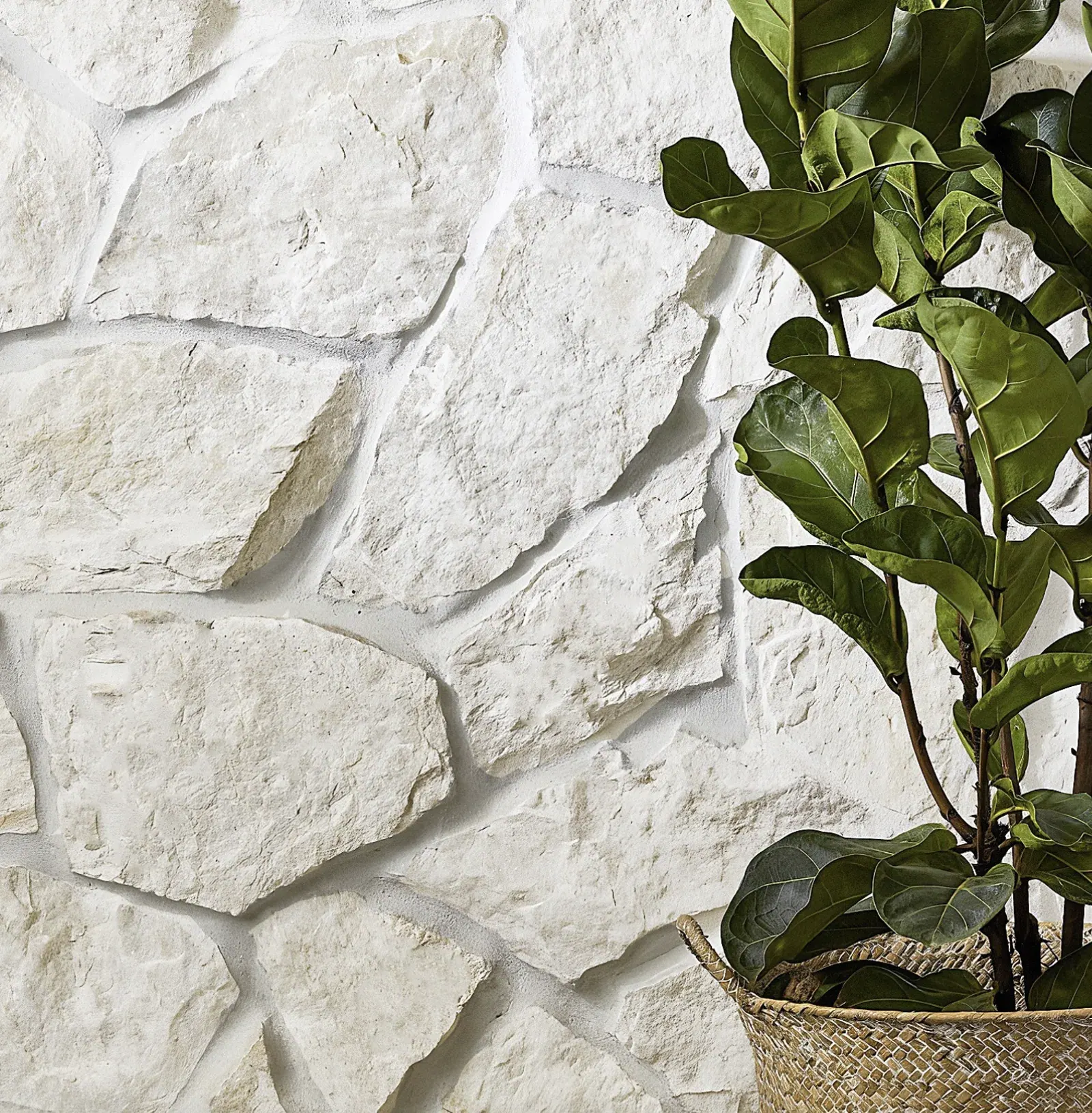Lymra Limestone thin veneer close-up
