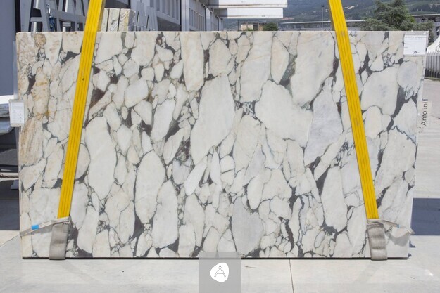 Calacatta Viola Super Extra marble slab with bold open brecciation, white clasts in a gray-gold network, polished